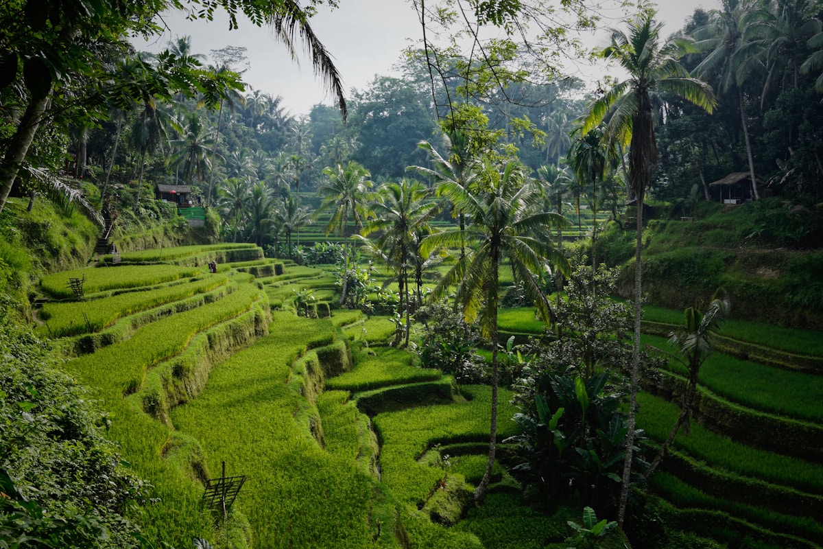 Bali Luxury Escape prize 2