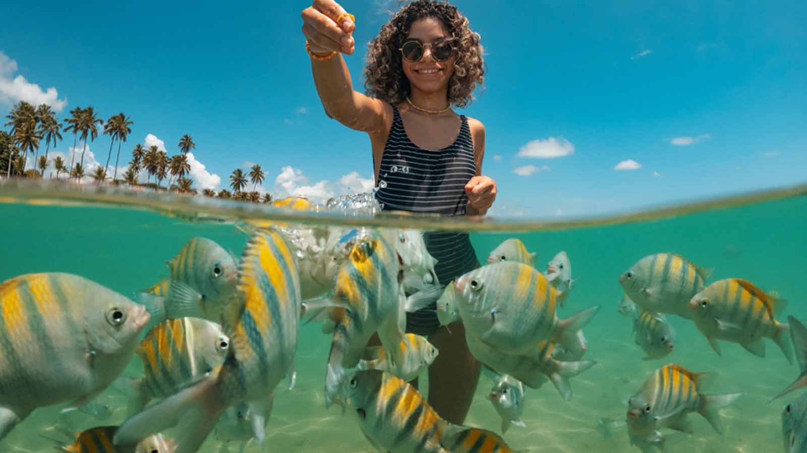 Caribbean Cruise Adventure prize