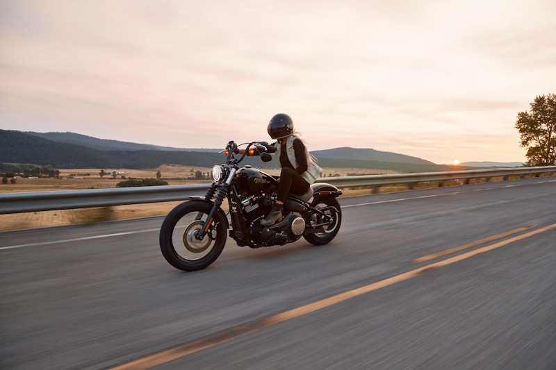Harley-Davidson Sportster S prize 6