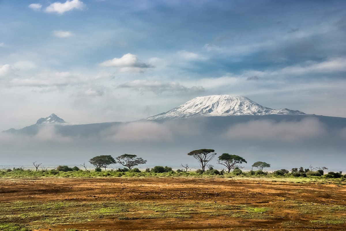 African Safari Adventure prize 2