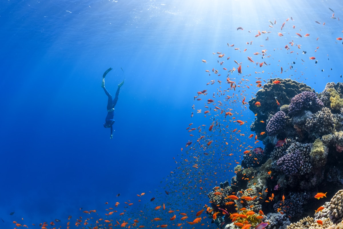 Scuba Diving Package prize 3